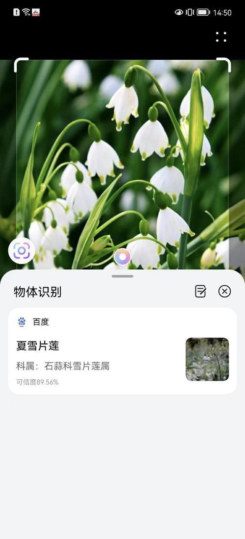 免费版扫描软件图标