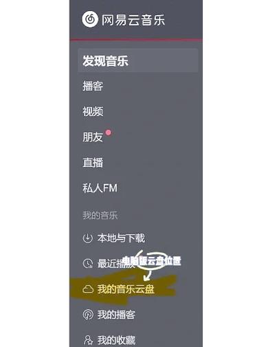 iPad网易云下的歌在哪