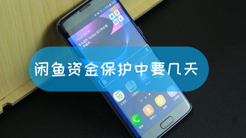 闲鱼资金保护双方评价可以