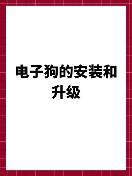 电子狗更新不了