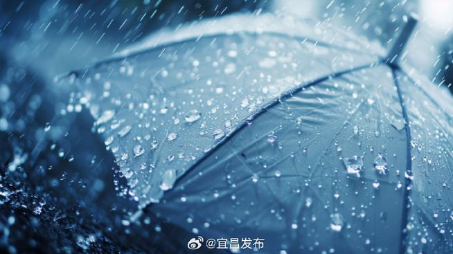 最新中央气象台天气预报软件缩略图