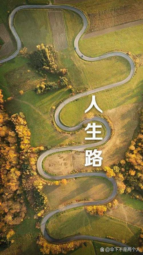 人生鸡汤