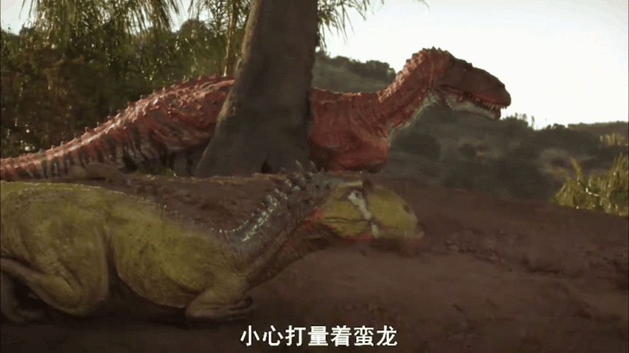蛮龙片多少钱一盒