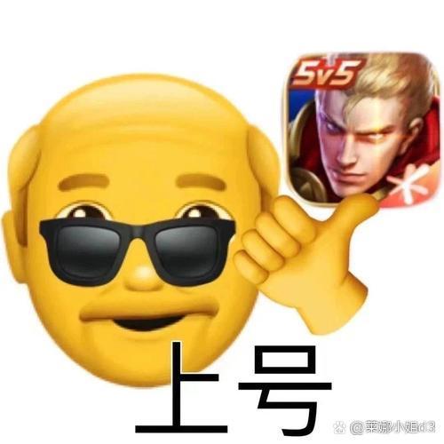 王者荣耀上号表情包