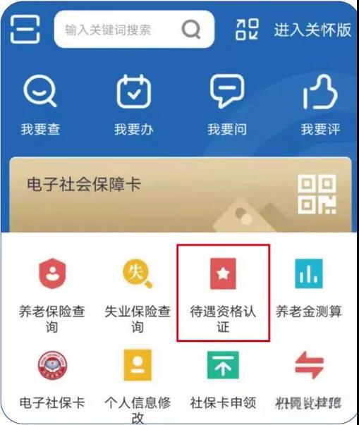 河北养老认证是哪个软件