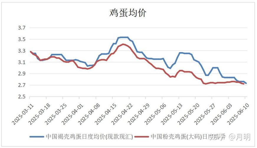 鸡蛋报价每日行情