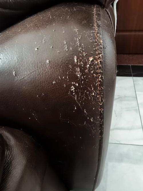 皮沙发大面积脱皮了怎么办