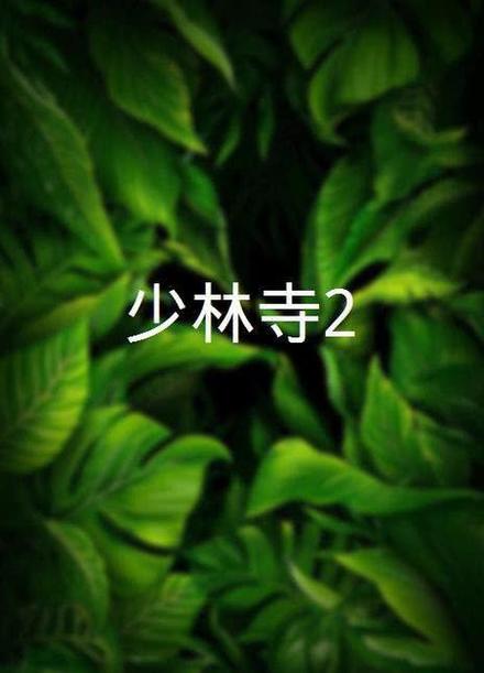 少林寺2缩略图