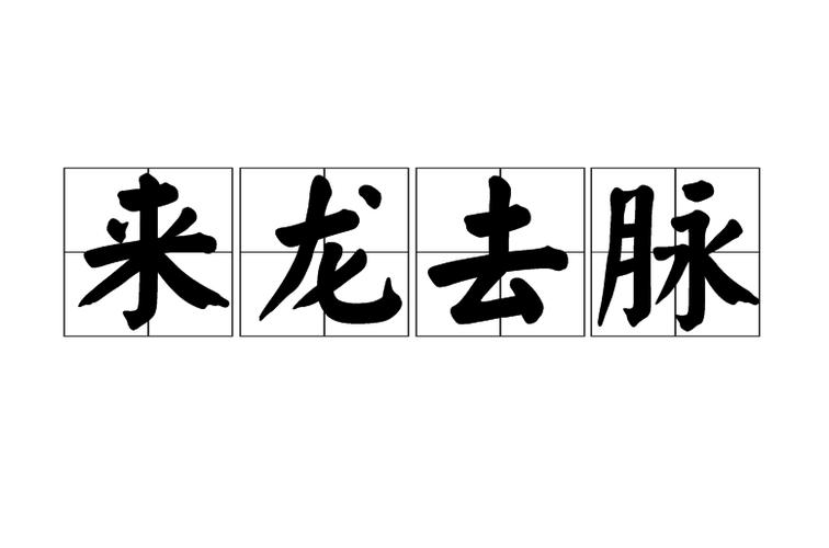 来龙去脉准确打一动物
