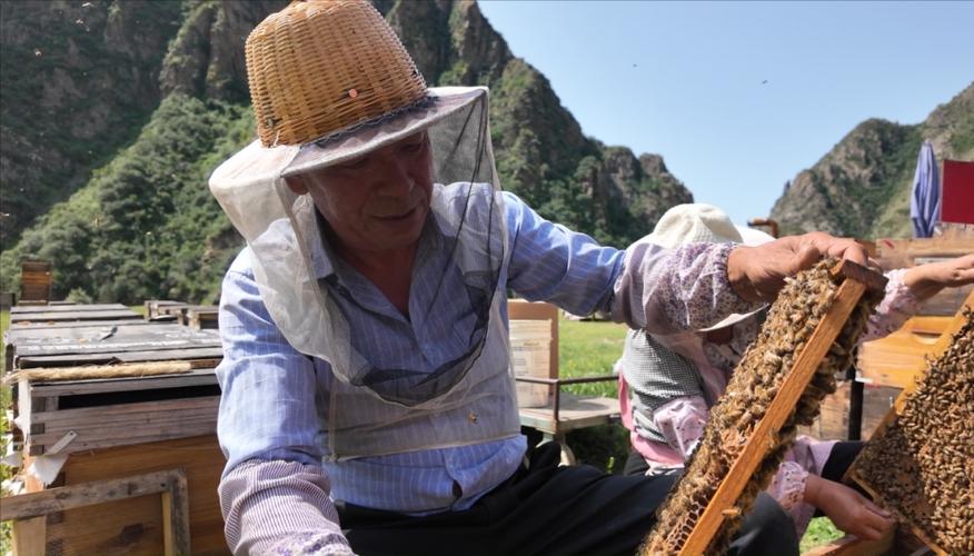 销售小蜜蜂干什么