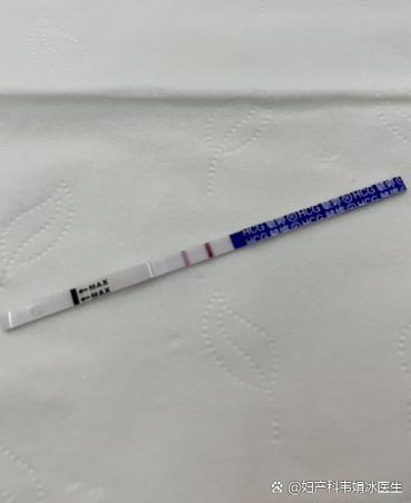 怀孕试纸怎么看