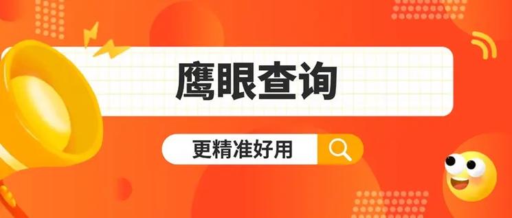 鹰眼大数据查询