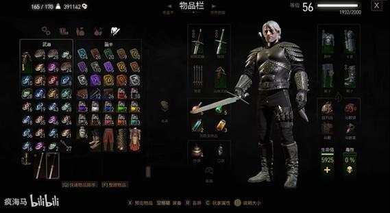 巫师3宗师级