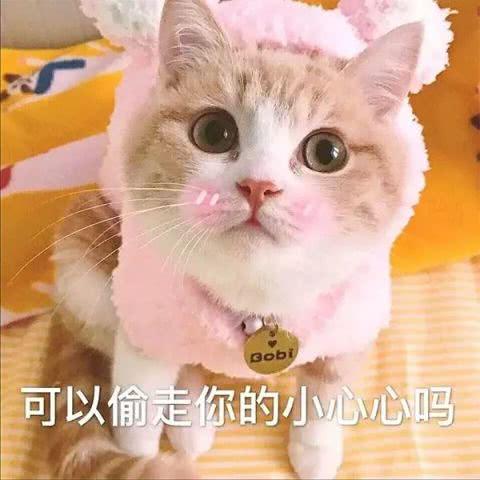 逗人开心撩人表情