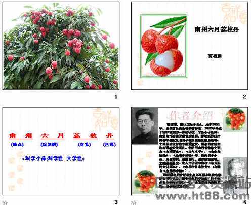 南州六月荔枝丹采用了什么说明顺序