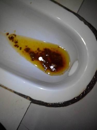 吃完就拉游戏下载缩略图
