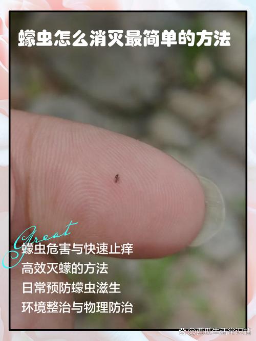 如何让蠓虫不靠近身体