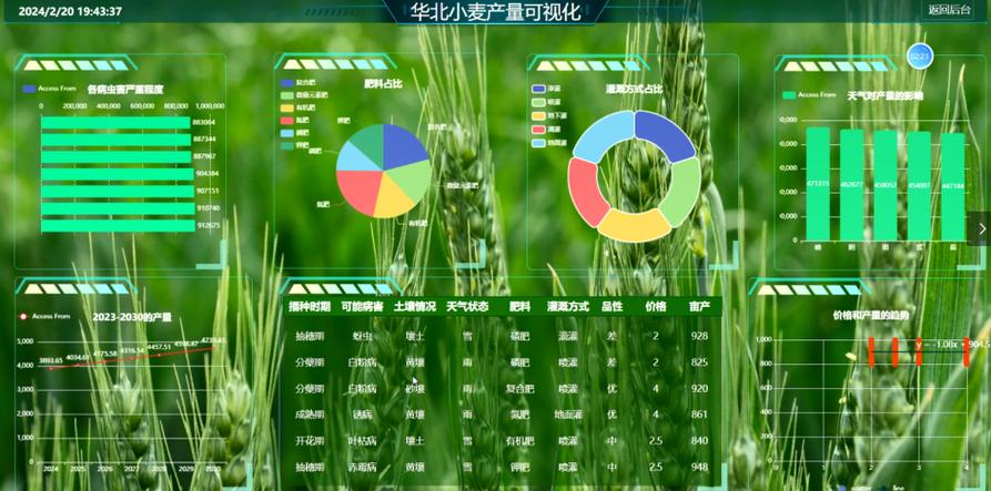 小麦价格暴涨前兆