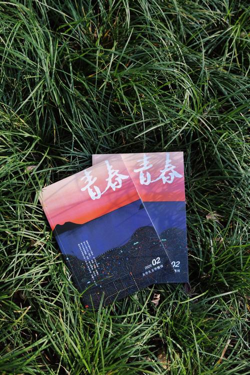 16岁可以做游戏主播吗