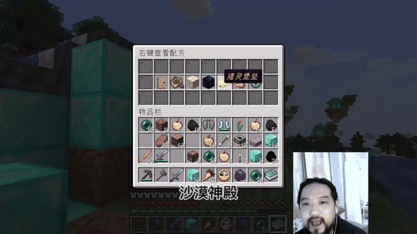 我的世界熊孩子神器空岛生存3