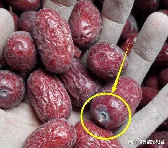 红枣干过期了但没开封