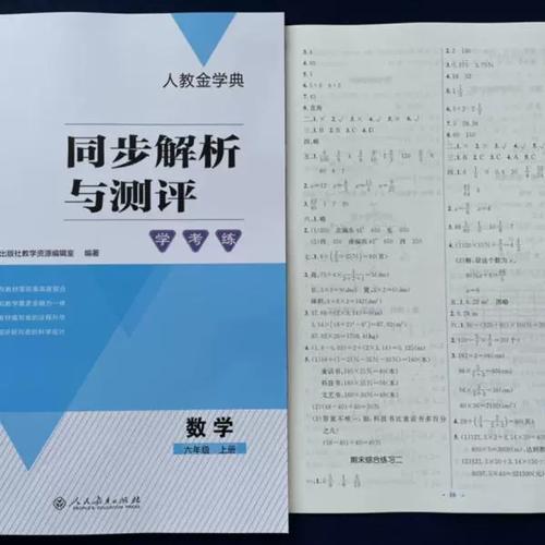 六年级《同步解析与测评》答案人教图标