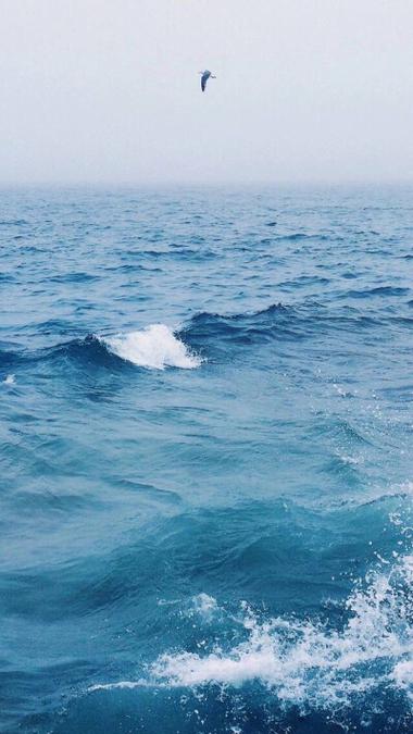 海洋大海立体壁纸