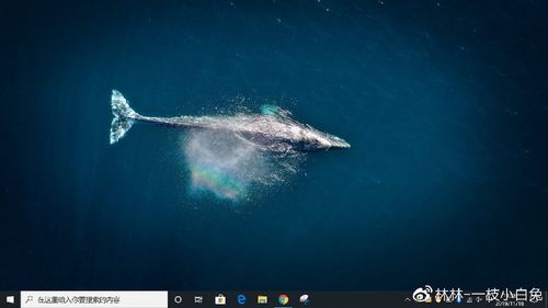 win13下载