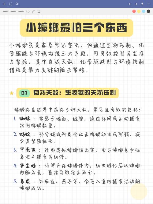 延时顺路派最怕三个东西