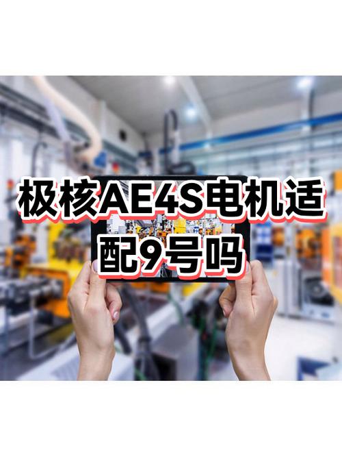 为什么极核比九号贵