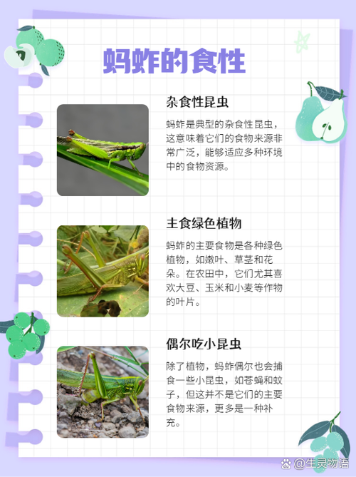 短文什么的蚂蚱
