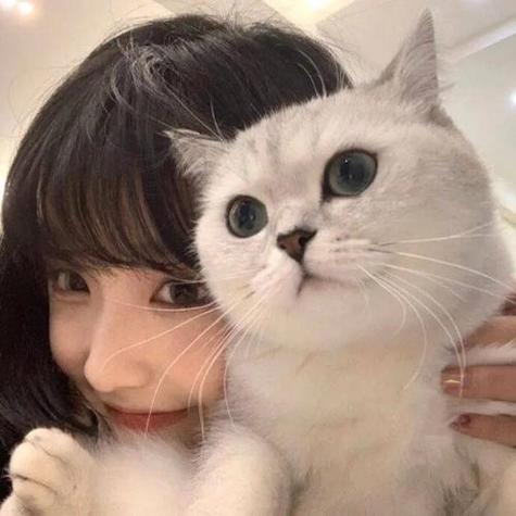 女人用猫当头像暗示什么缩略图
