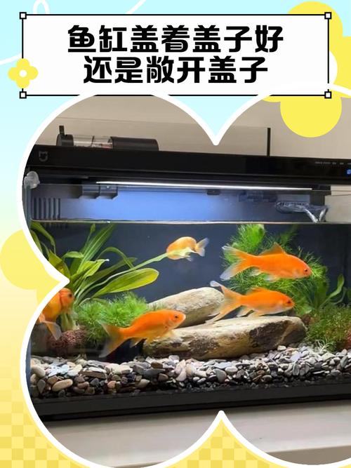 鱼缸好还是水族箱好