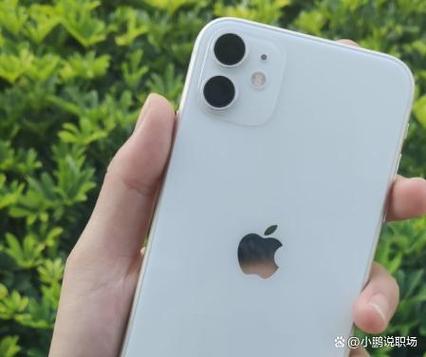 iphone11卡屏不动什么原因