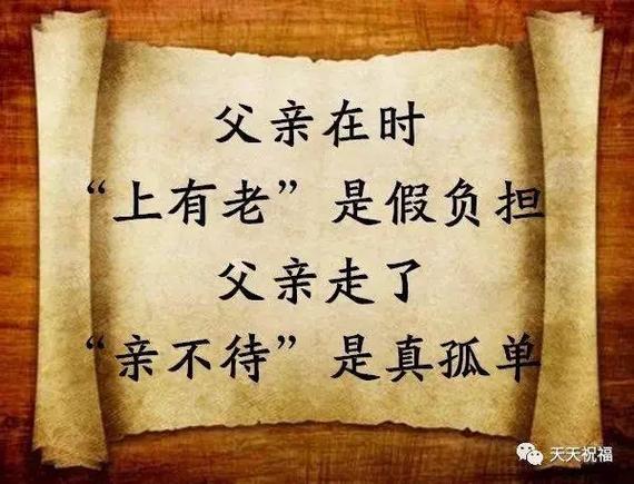 小说虎婿老虎的虎女婿的婿缩略图
