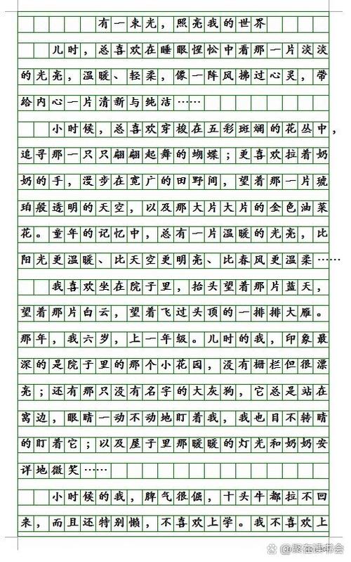 我的世界作文500字游戏截图