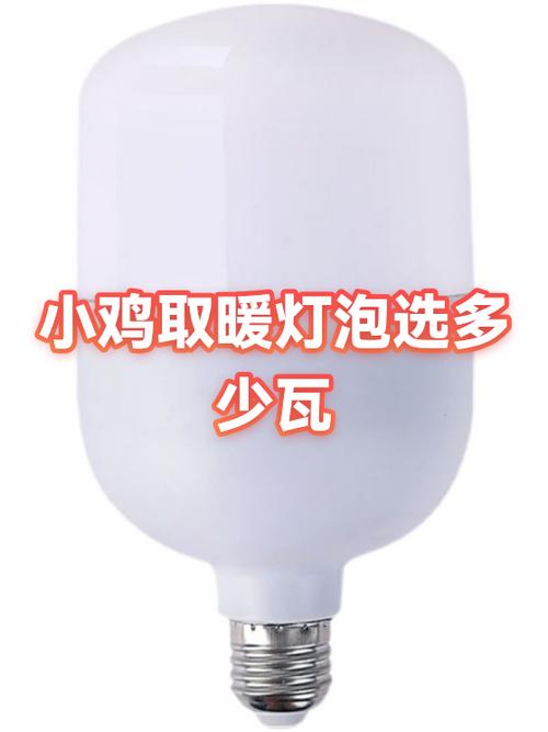 小鸡保温灯多少瓦合适