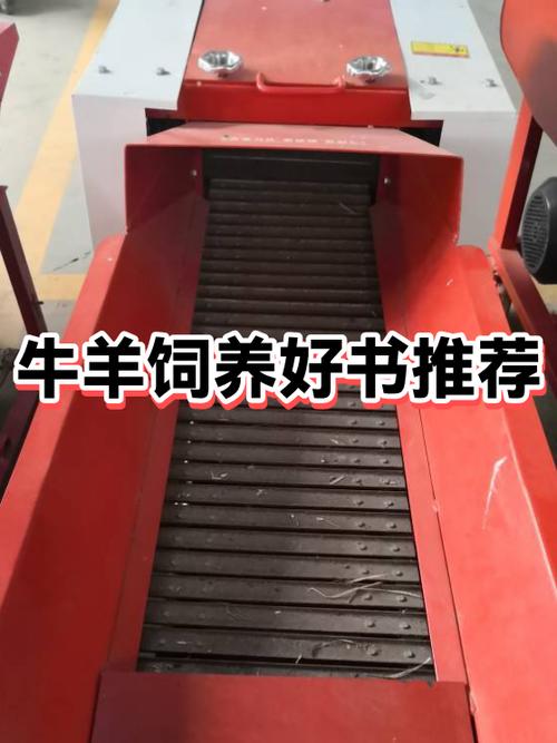 牧场必养10种动物