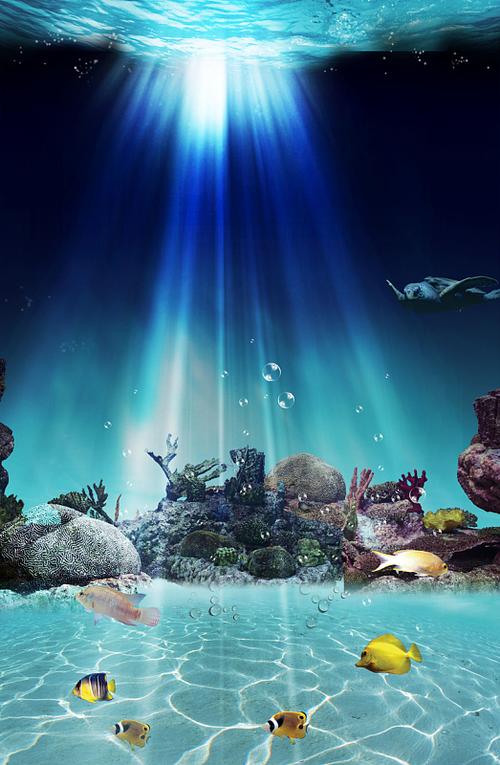 水族馆广告图片大全