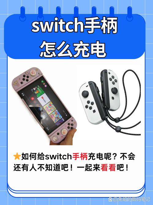 国行switch能玩