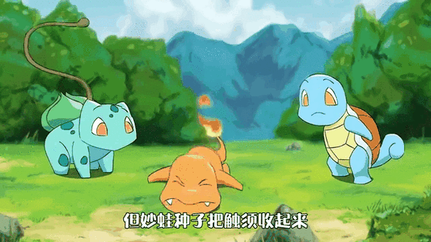 卡咪龟截图