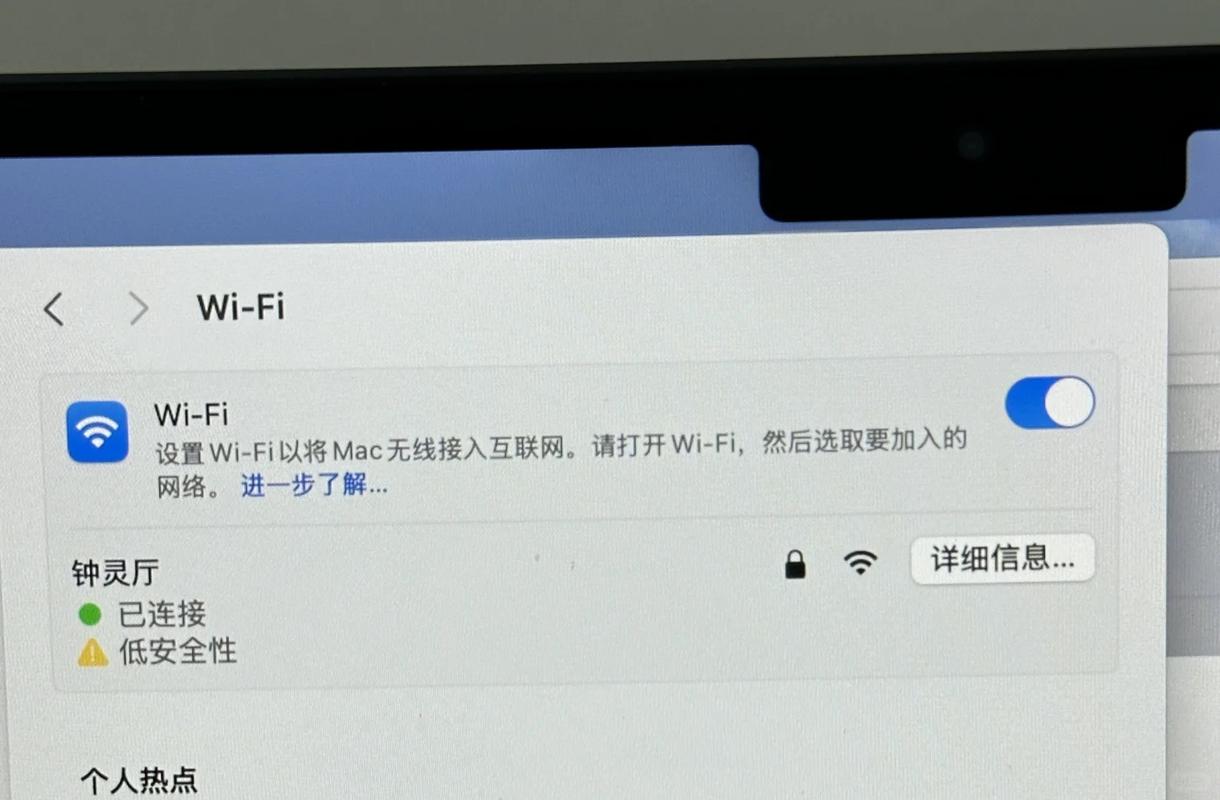 下载的软件连不上网络