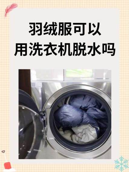 羽绒服能机洗甩干吗游戏截图