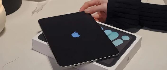 ipad后面有黑边的是哪一款