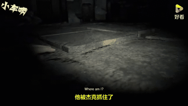 生化危机7dlc在哪图标