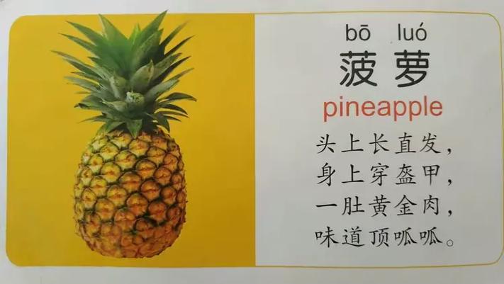 小菠萝儿歌图标