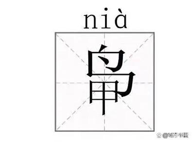 录入生僻字是什么字