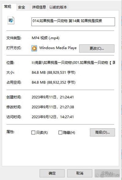 mp4下载的视频为什么打不开