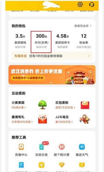 美团月付额度在哪里看缩略图
