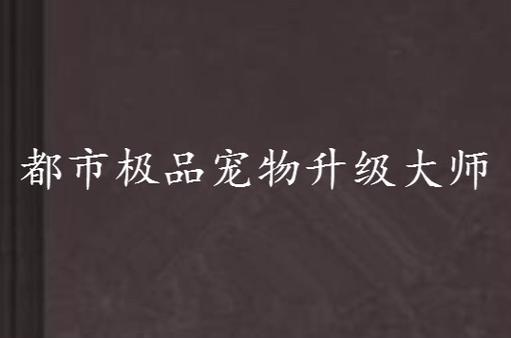 创造与魔法如何快速给宠物升级缩略图